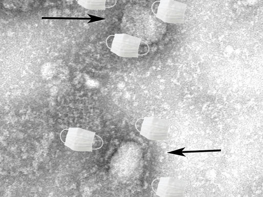 新型コロナウイルス感染防止に伴う活動休止について

