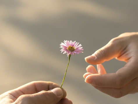 Nurturing the Gift of Giving: A Therapist's Reflections on Boundaries and Balance