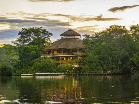 Discover the Enchanting La Selva Jungle Lodge in Ecuador: Where Luxury Meets Nature