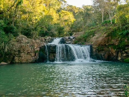 Explore the Untamed Beauty of Margay Lodge - Your Gateway to Nature's Paradise