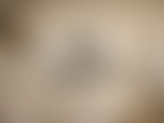 Document Request Timeline