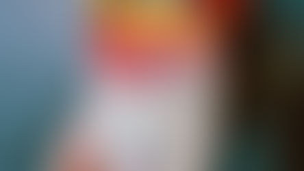 ČIA PUDIŅŠ. Gatavo Nikola!