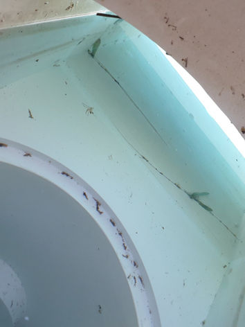 skimmer fissure cassé perte réparation fuite