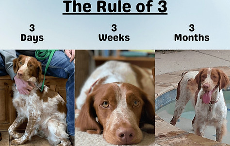 Rule-of-3_FIblog_edited_edited.jpg