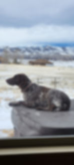 1000037351 (1800×4000)