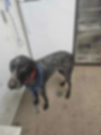 Messenger_creation_8DFAB160-776B-4017-8610-014F301EFC25