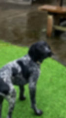 received_320884747633532