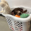 ffc108fb1072123c8197c5daebdab25c