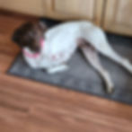 IMG_20220323_212341340