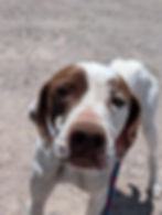 Messenger_creation_BC566CA9-F471-4B10-90A5-1BB91942C6ED