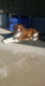 received_1096394537996295