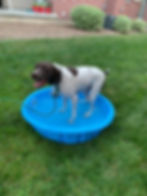 f81913_f1bf7a0372d845eda19a74f332baff20~mv2