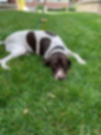 f81913_8f57c3bffd844d4985606e8310d5a113~mv2