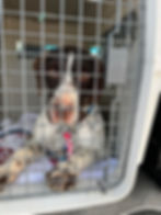 received_1889272228188903