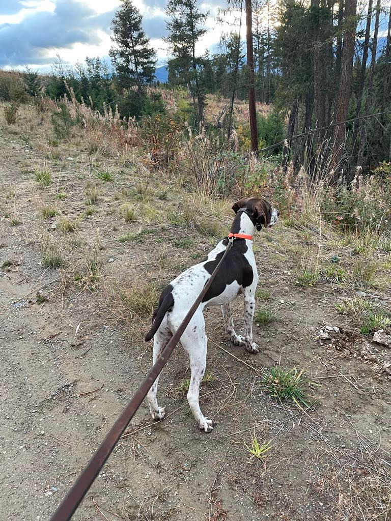 db617cb1-333c-4b62-8c20-cbd00eeff41e