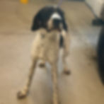 b6df6371b83e5b0487f1ba38f5c73361 (2)