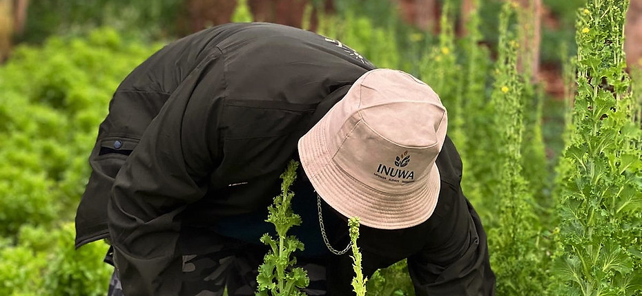Farm in Uganda 