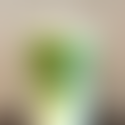 The Lost Draft: The Place Where Creativity Meets Coffee