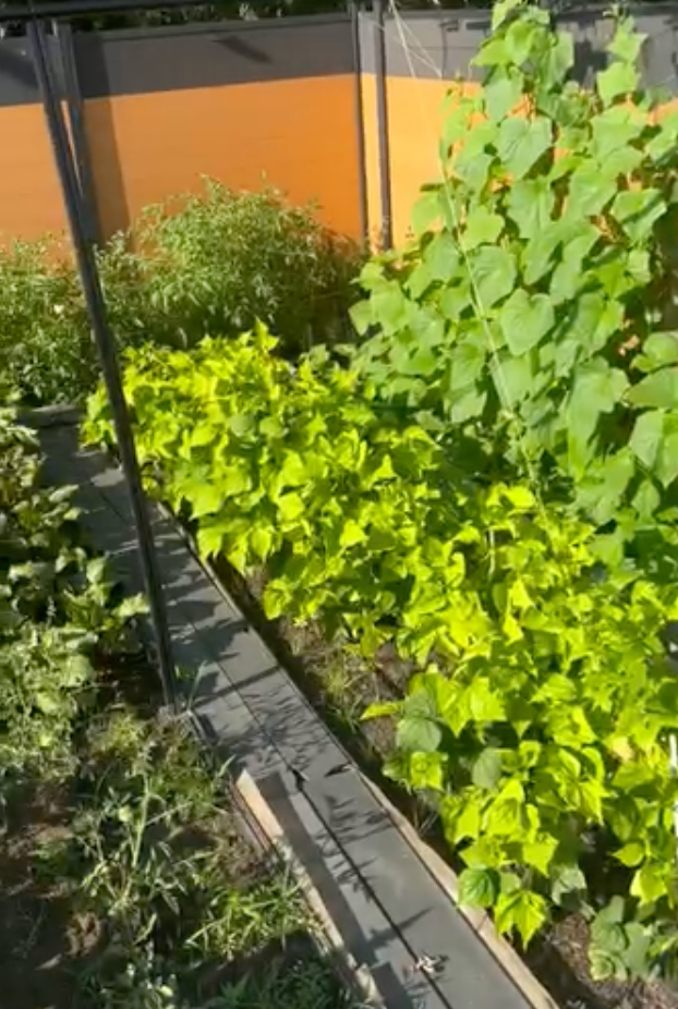 Courtesy of Leah Miksi-Sahdo