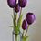 Miniature : Vase tube