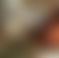 Comment intégrer des décorations saisonnières qui se démarquent autant dans un lieu commercial que résidentiel