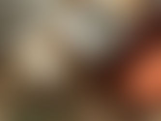 Comment intégrer des décorations saisonnières qui se démarquent autant dans un lieu commercial que résidentiel