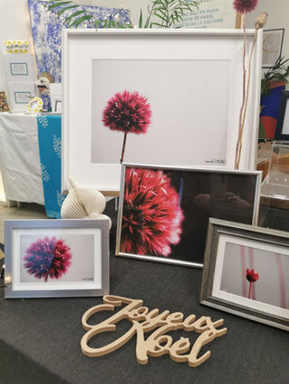 Expo  Véronika ZIZKA