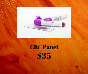 CBC Panel (1).png