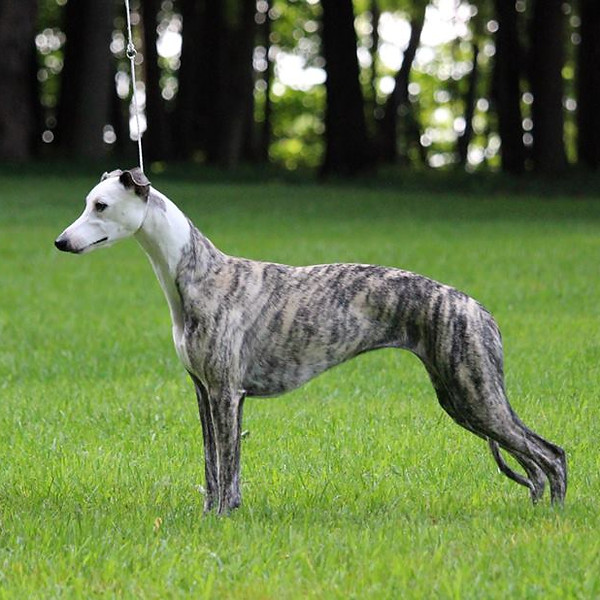 11059916_10152908092620443_9313308628557