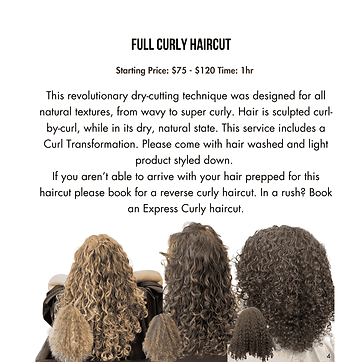 full curly haircut.png
