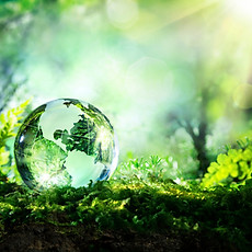 GREEN.jpg