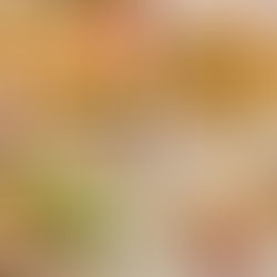 ★第85回☆開運ディナー開催★