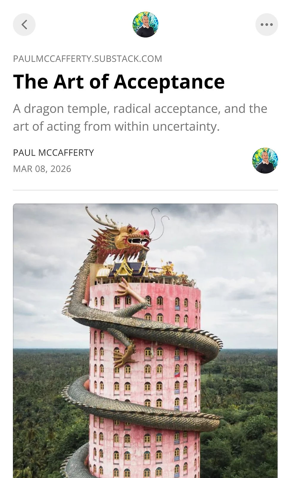 Substack cover Art of Acceptance3.jpeg