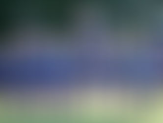 MATCH REPORTS:2s and 3s VARSITY