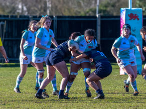 Panthers Roar to Victory