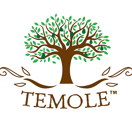 TEMOLE_Logo_Wh.png