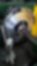 IMG-20190823-WA0050.jpeg