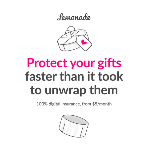 Paid Holiday Ads - Lemonade