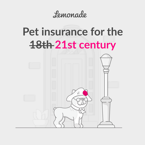 Paid Localized Ads - Lemonade