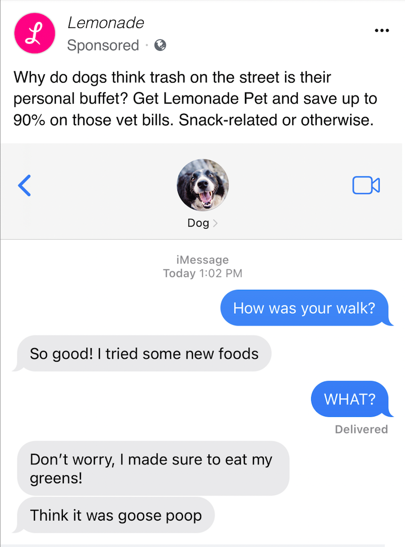 Pet text messages