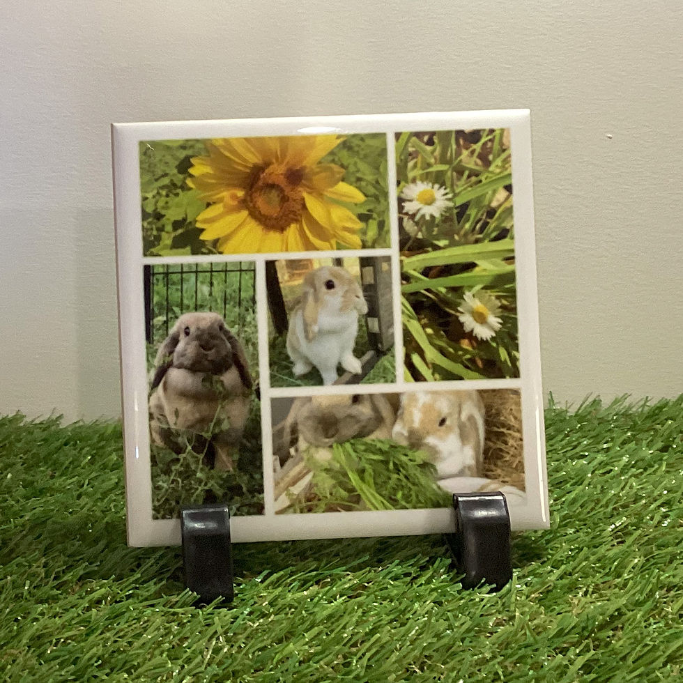 Thumbnail: Tile - Coaster, Pot Holder, Tile Decoration