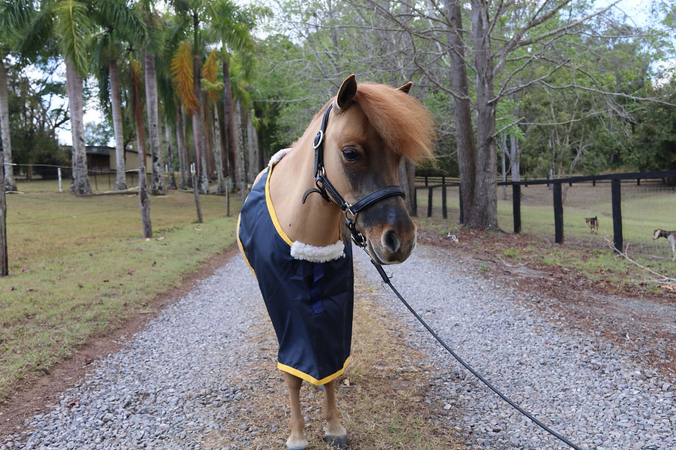 Thumbnail: Satin Neck Bib 3’ & 3'3 Navy & Yellow