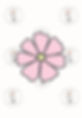 Emporte-pièce fleur