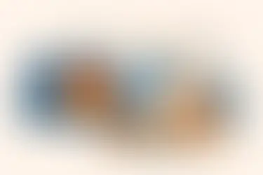 Cuánto dura la cremación de una mascota