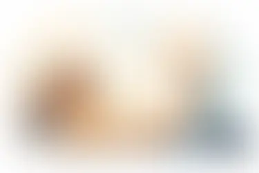 Eutanasia compasiva para perros en casa