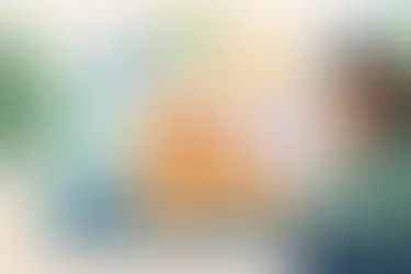 Guía de calidad de vida canina para decidir