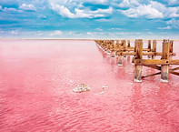 Excursion-au-lac-Rose-du-Senegal.jpeg