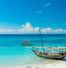 zanzibar_island_boat.webp