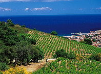 photo-soiree-mediterranee-aiva-d7f3ea3b.jpeg