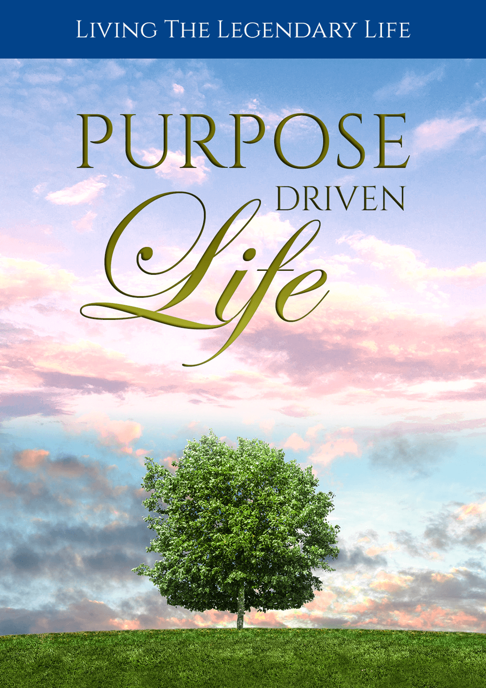 Purpose Driven Life